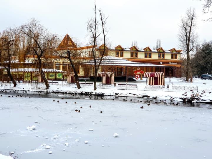 Парк «Дубовый Гай» («Дубовка») в Запорожье — Крупный план цветов